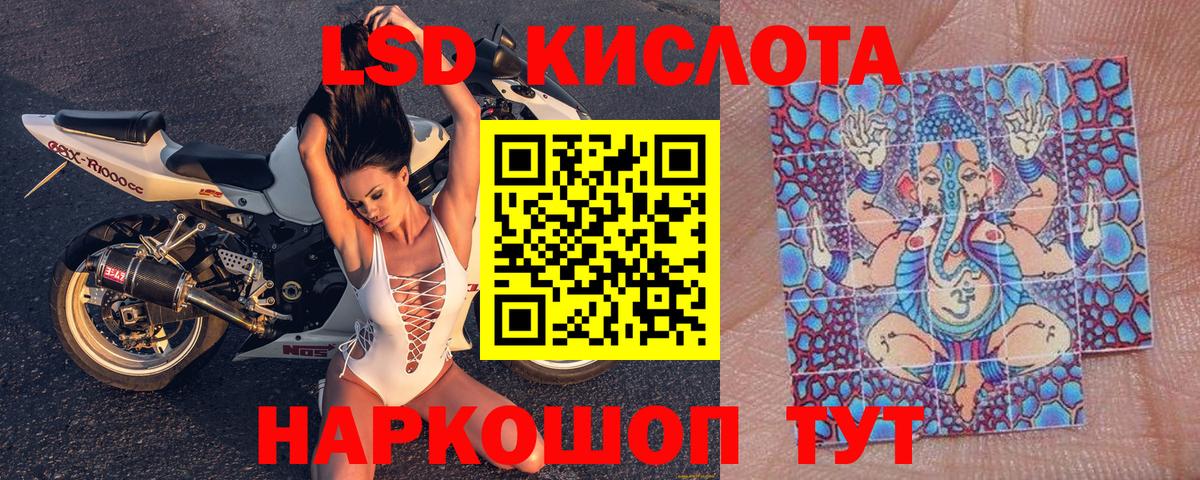 Марки 25I-NBOMe 1500мкг  Марки 25I-NBOMe 1500мкг  Вход с VPN  Лесной 