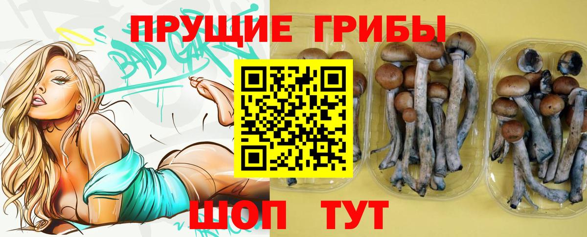 где купить наркоту  Псилоцибиновые грибы GOLDEN TEACHER  Вход с VPN  Лесной 